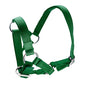 ALPACA HALTER