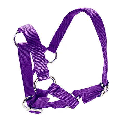 ALPACA HALTER