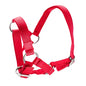 ALPACA HALTER