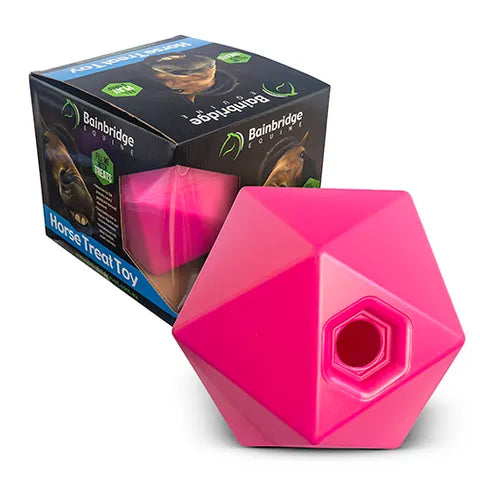 HORSE TREAT BALL