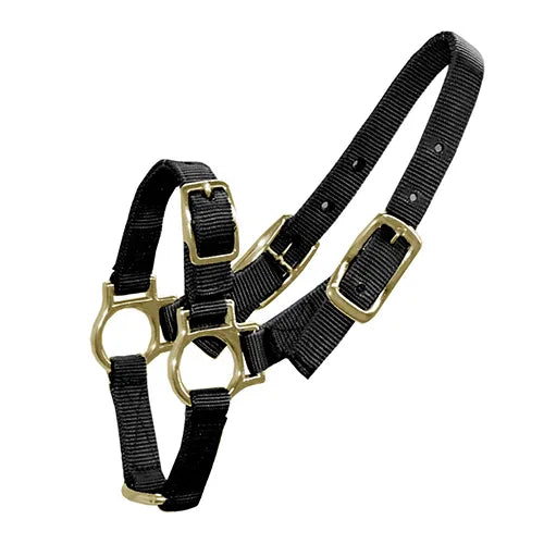 HALTER FOR SHEEP & GOATS