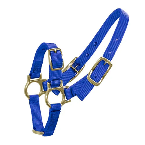 HALTER FOR SHEEP & GOATS