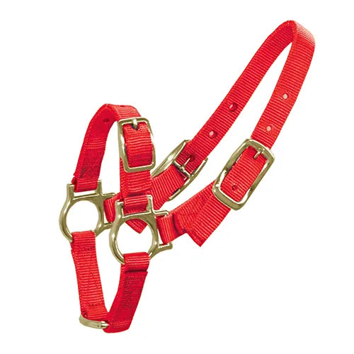 HALTER FOR SHEEP & GOATS