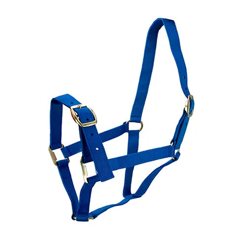 EQUINE HALTER