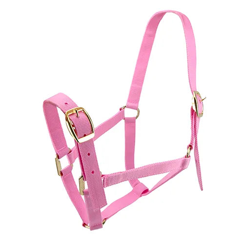 EQUINE HALTER