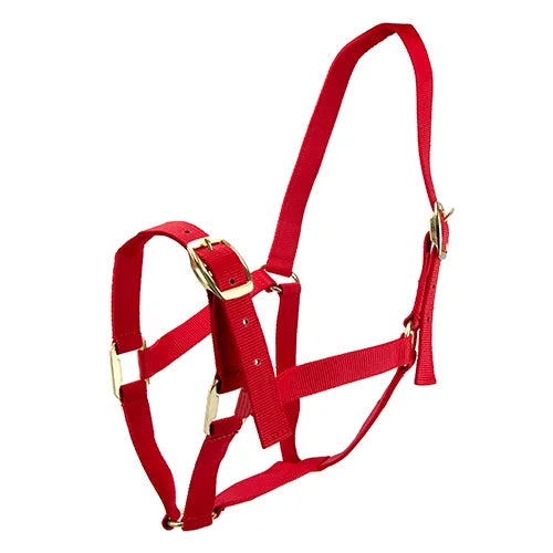 EQUINE HALTER