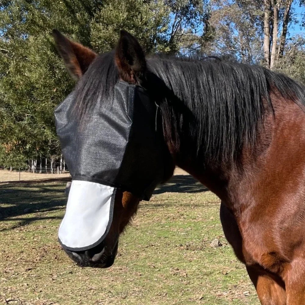 Horse wearing flyveil with nose
