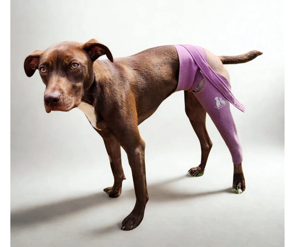 DOG RECOVERY SUIT - LEFT HIND LEG SLEEVE