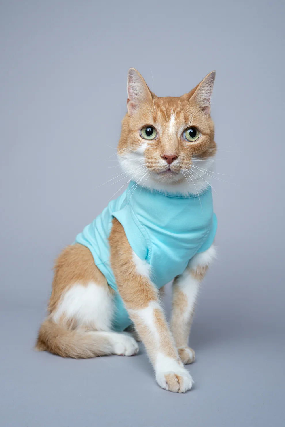 CAT RECOVERY SUIT