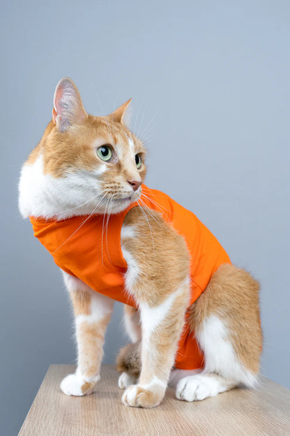 CAT RECOVERY SUIT