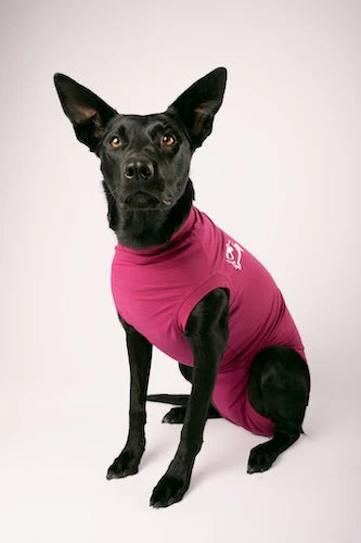 DOG RECOVERY SUIT - ROSE VIOLET