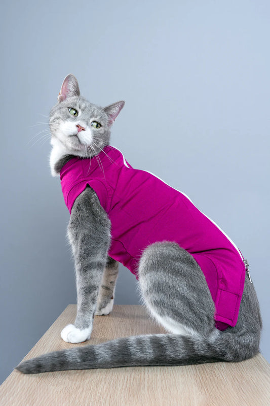 CAT RECOVERY SUIT