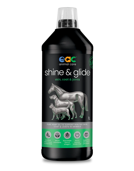 EAC SHINE & GLIDE - HEMP OIL