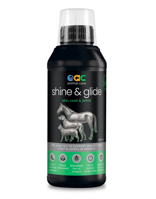 EAC SHINE & GLIDE - HEMP OIL
