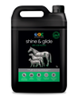 EAC SHINE & GLIDE - HEMP OIL