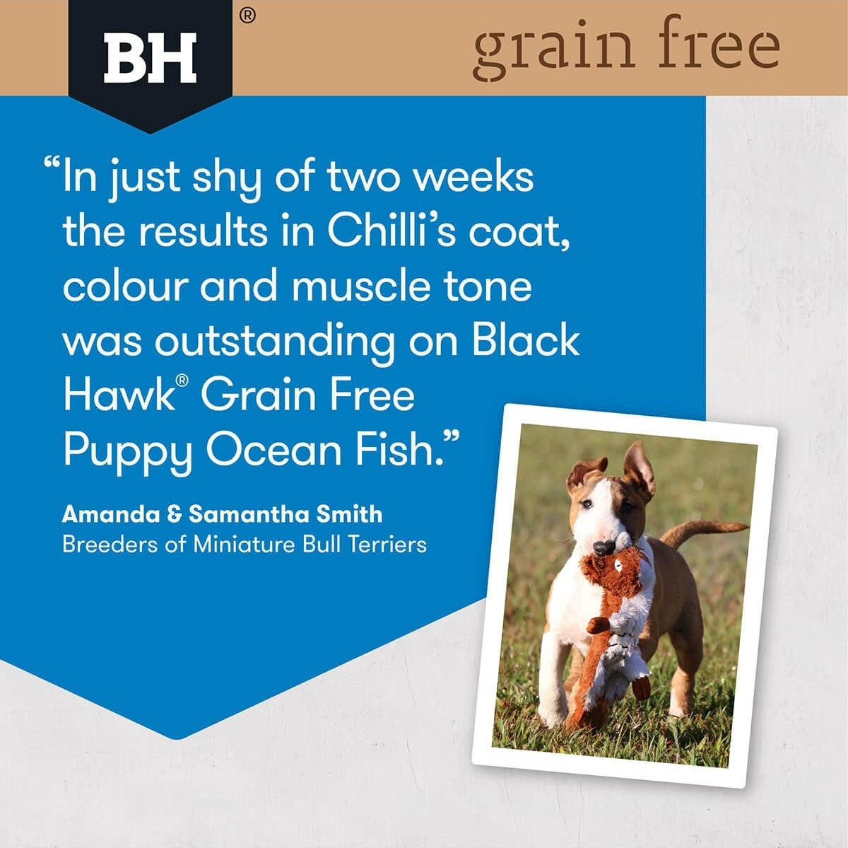 BLACKHAWK K9 PUPPY GRAIN FREE FISH