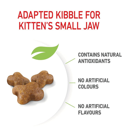 ROYAL CANIN FELINE KITTEN