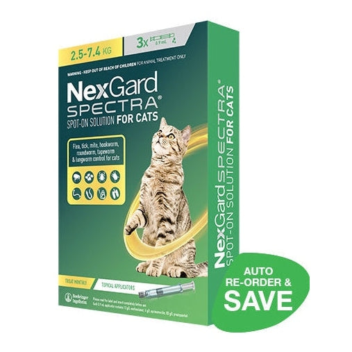 NEXGARD SPECTRA FELINE