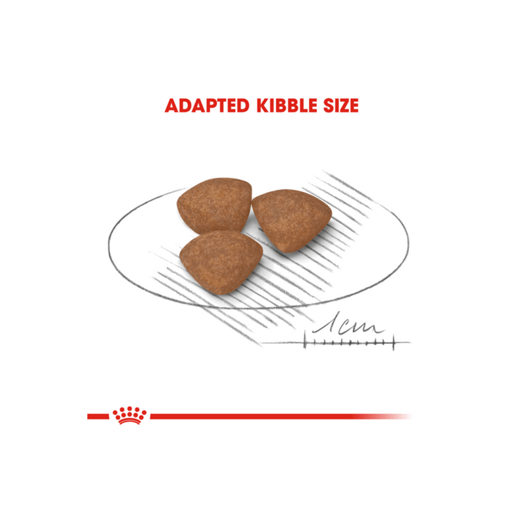ROYAL CANIN K9 MINI PUPPY