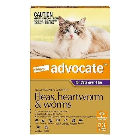 ADVOCATE CAT >4KG