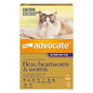 ADVOCATE CAT
