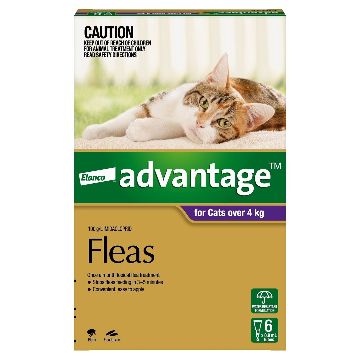 ADVANTAGE CAT