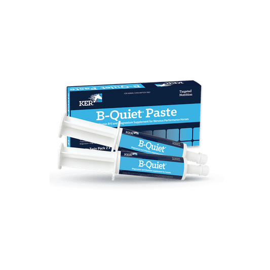 KER B-Quiet Paste (Twin Pack)