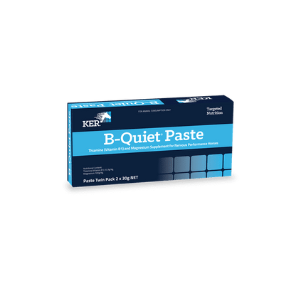 KER B-Quiet Paste (Twin Pack)