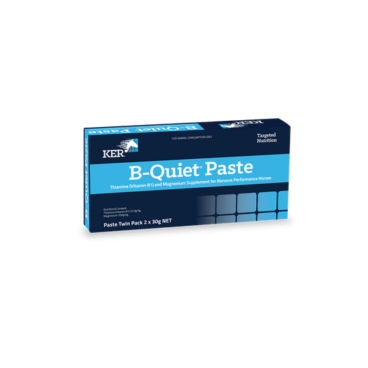 KER B-Quiet Paste (Twin Pack)