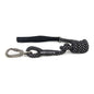 HUSKIMO DOG LEAD MOTIVATE