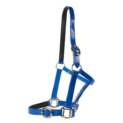 Horse Sense Brass Buckle Halter
