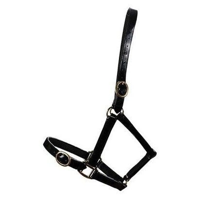 Horse Sense Brass Buckle Halter