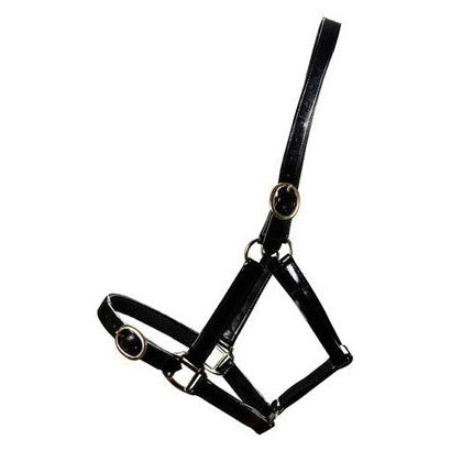 Horse Sense Brass Buckle Halter
