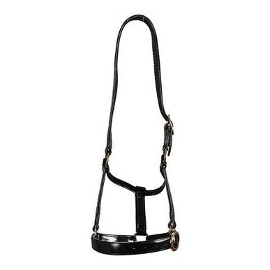 Horse Sense Brass Buckle Halter