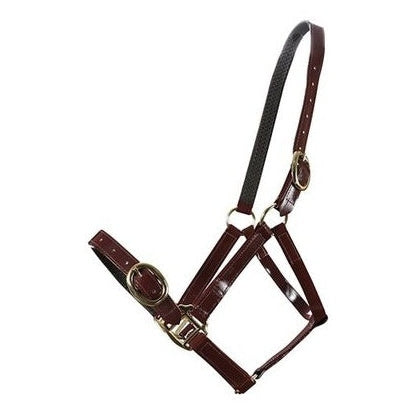 Horse Sense Brass Buckle Halter