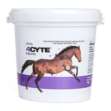 4CYTE EQUINE PAIL