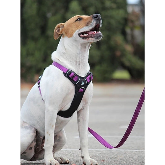 HUSKIMO DOG HARNESS ULTIMATE AURORA