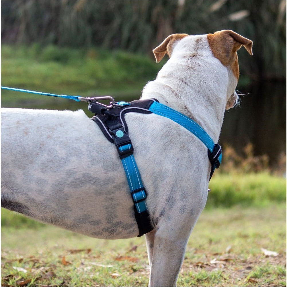 HUSKIMO DOG HARNESS ULTIMATE BELLS BEACH