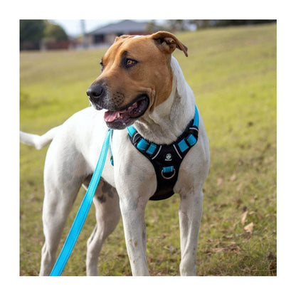 HUSKIMO DOG HARNESS ULTIMATE BELLS BEACH