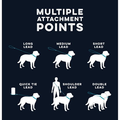 HUSKIMO DOG LEAD SPECIALIST MULTI LEAD