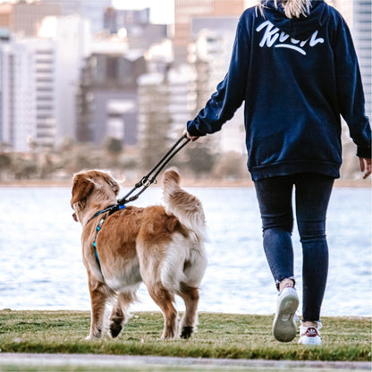 HUSKIMO DOG LEAD SPECIALIST MULTI LEAD