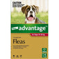 ADVANTAGE DOG