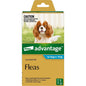 ADVANTAGE DOG