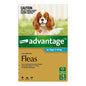 ADVANTAGE DOG