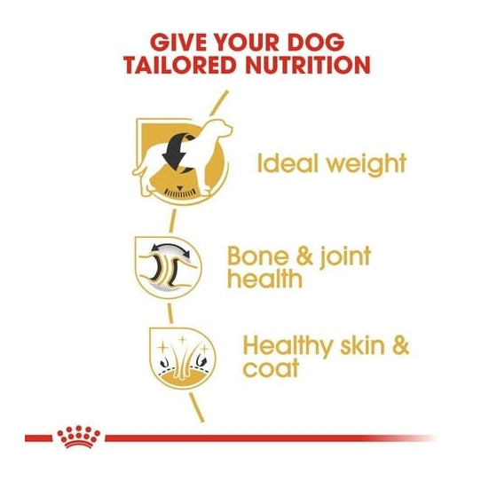 ROYAL CANIN K9 LABRADOR RETRIEVER