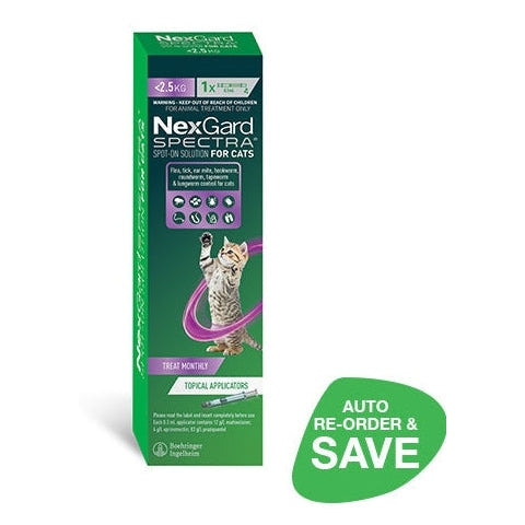NEXGARD SPECTRA FELINE