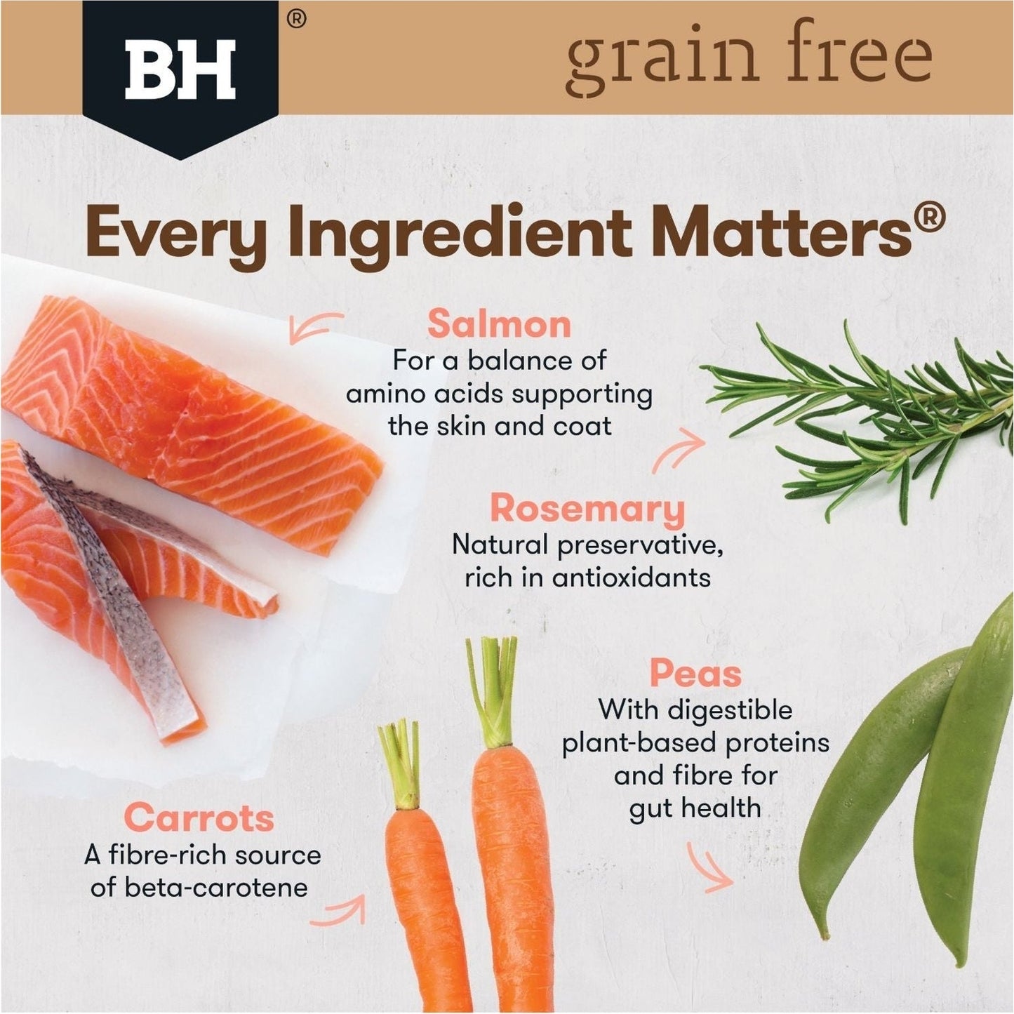 BLACKHAWK K9 GRAIN FREE SALMON
