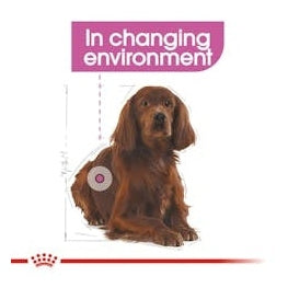 ROYAL CANIN K9 MEDIUM RELAX CARE 10KG