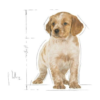 ROYAL CANIN K9 MEDIUM PUPPY