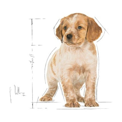ROYAL CANIN K9 MEDIUM PUPPY 140G 10s POUCH